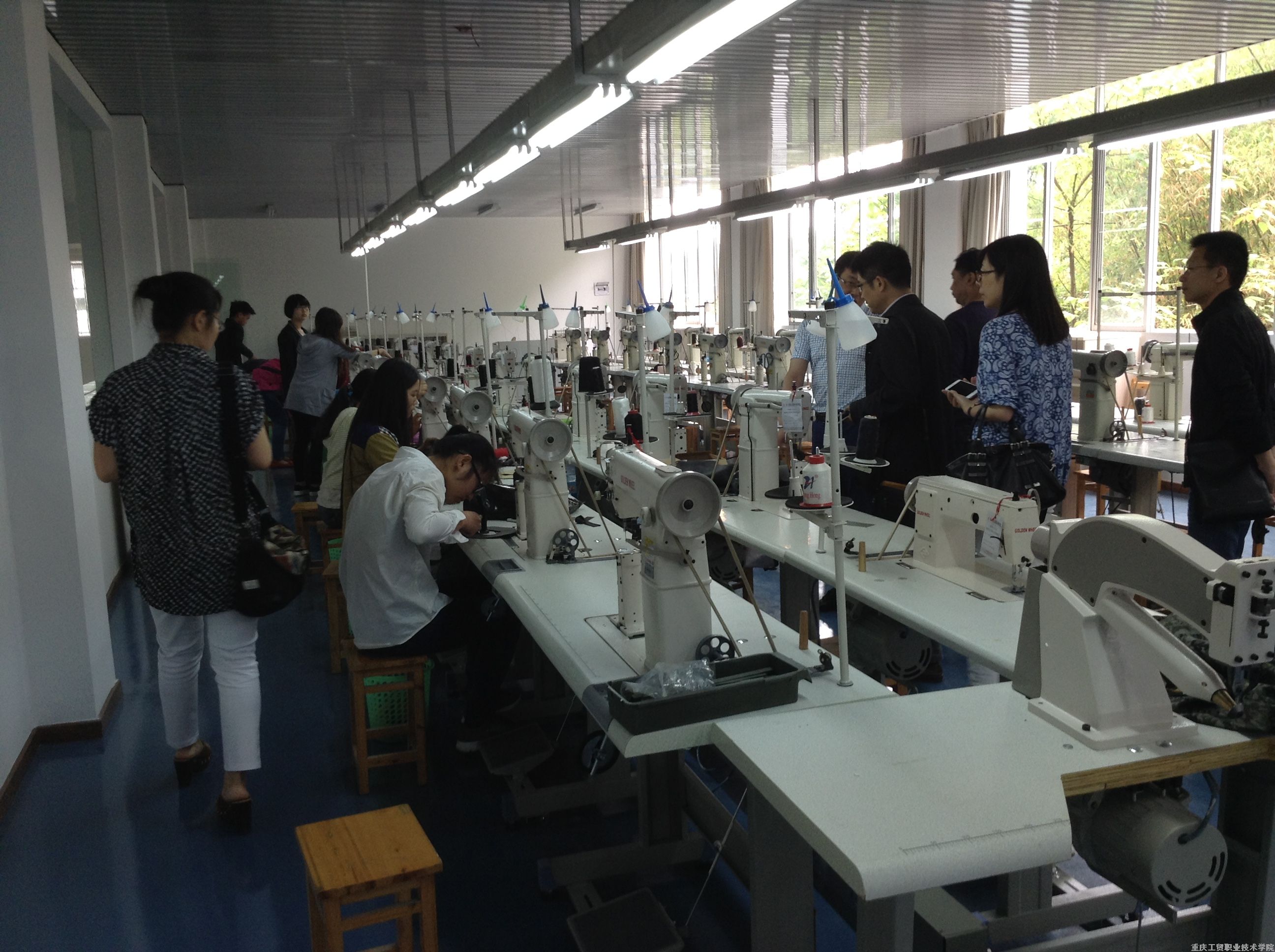 长江师范学院来我系开展合作交流